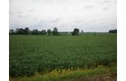 Property photo 8 - 721+/- Acres Offered in 15 Tracts - Session B