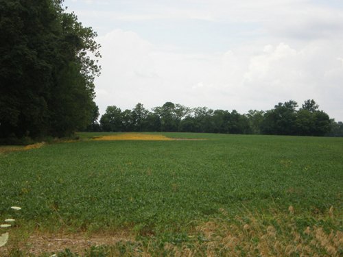 Property photo 10 - 721+/- Acres Offered in 15 Tracts - Session B