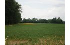 Property photo 10 - 721+/- Acres Offered in 15 Tracts - Session B