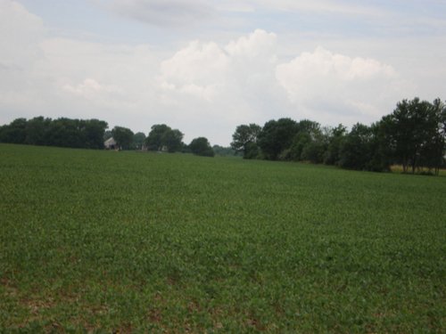 Property photo 5 - 721+/- Acres Offered in 15 Tracts - Session B