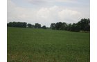 Property photo 5 - 721+/- Acres Offered in 15 Tracts - Session B