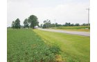 Property photo 6 - 721+/- Acres Offered in 15 Tracts - Session B