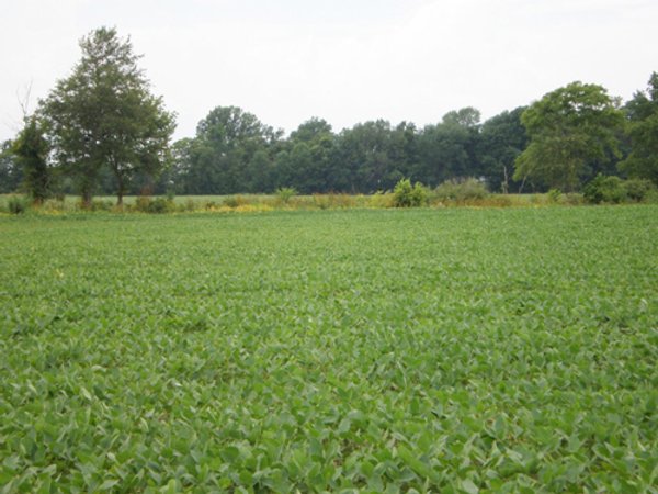 721+/- Acres Offered in 15 Tracts - Session B