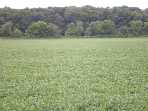 Property photo 13 - 721+/- Acres Offered in 15 Tracts - Session B