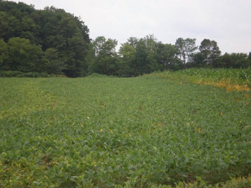 Property photo 2 - 721+/- Acres Offered in 15 Tracts - Session B