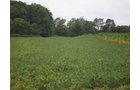 Property photo 2 - 721+/- Acres Offered in 15 Tracts - Session B