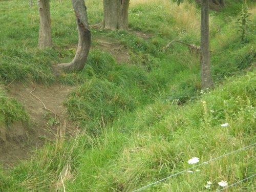 Property photo 17 - 721+/- Acres Offered in 15 Tracts - Session B