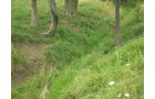 Property photo 17 - 721+/- Acres Offered in 15 Tracts - Session B