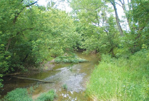 Property photo 14 - 721+/- Acres Offered in 15 Tracts - Session B