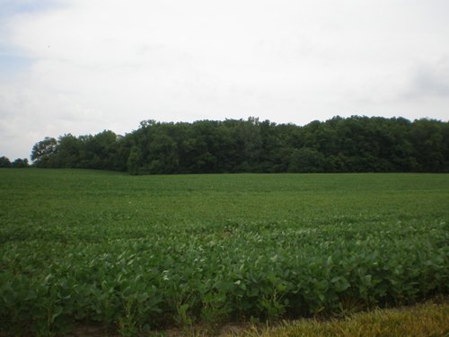 Property photo 20 - 721+/- Acres Offered in 15 Tracts - Session B