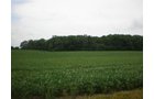 Property photo 20 - 721+/- Acres Offered in 15 Tracts - Session B