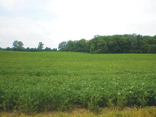 Property photo 1 - 721+/- Acres Offered in 15 Tracts - Session B