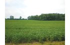 Property photo 1 - 721+/- Acres Offered in 15 Tracts - Session B