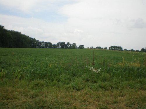 Property photo 7 - 721+/- Acres Offered in 15 Tracts - Session B