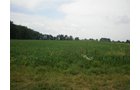 Property photo 7 - 721+/- Acres Offered in 15 Tracts - Session B