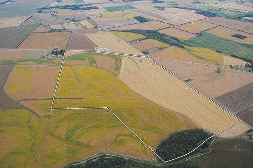 Property photo 25 - 724 +/- Acres Offered in 8 Tracts - Session A