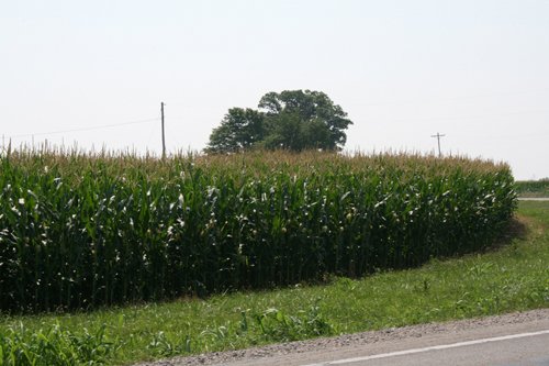 Property photo 32 - 724 +/- Acres Offered in 8 Tracts - Session A