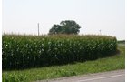 Property photo 32 - 724 +/- Acres Offered in 8 Tracts - Session A