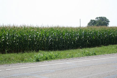 Property photo 22 - 724 +/- Acres Offered in 8 Tracts - Session A