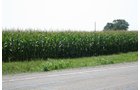 Property photo 22 - 724 +/- Acres Offered in 8 Tracts - Session A