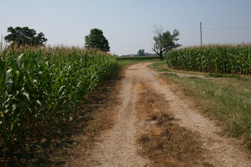 Property photo 30 - 724 +/- Acres Offered in 8 Tracts - Session A