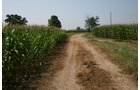 Property photo 30 - 724 +/- Acres Offered in 8 Tracts - Session A
