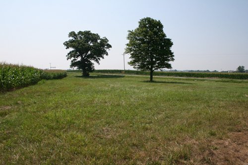 Property photo 11 - 724 +/- Acres Offered in 8 Tracts - Session A