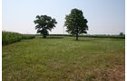Property photo 11 - 724 +/- Acres Offered in 8 Tracts - Session A