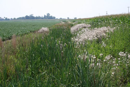Property photo 9 - 724 +/- Acres Offered in 8 Tracts - Session A