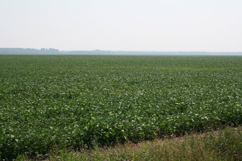 Property photo 33 - 724 +/- Acres Offered in 8 Tracts - Session A