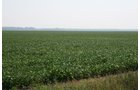 Property photo 33 - 724 +/- Acres Offered in 8 Tracts - Session A