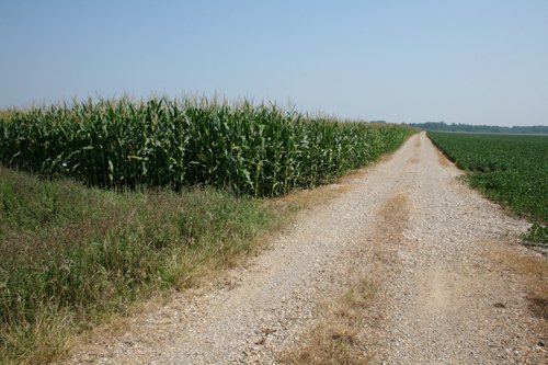 Property photo 31 - 724 +/- Acres Offered in 8 Tracts - Session A