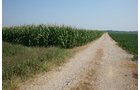 Property photo 31 - 724 +/- Acres Offered in 8 Tracts - Session A