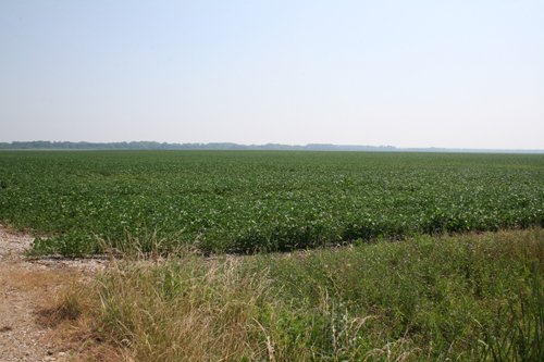 Property photo 12 - 724 +/- Acres Offered in 8 Tracts - Session A