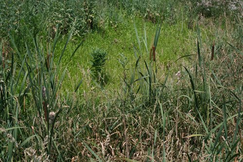 Property photo 10 - 724 +/- Acres Offered in 8 Tracts - Session A