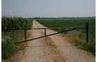 Property photo 36 - 724 +/- Acres Offered in 8 Tracts - Session A