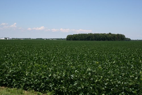 Property photo 28 - 724 +/- Acres Offered in 8 Tracts - Session A