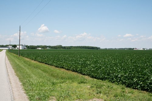 Property photo 17 - 724 +/- Acres Offered in 8 Tracts - Session A