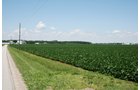 Property photo 17 - 724 +/- Acres Offered in 8 Tracts - Session A