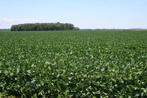 Property photo 29 - 724 +/- Acres Offered in 8 Tracts - Session A