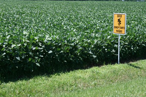 Property photo 13 - 724 +/- Acres Offered in 8 Tracts - Session A