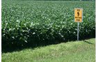 Property photo 13 - 724 +/- Acres Offered in 8 Tracts - Session A