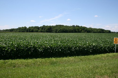 Property photo 35 - 724 +/- Acres Offered in 8 Tracts - Session A