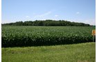 Property photo 35 - 724 +/- Acres Offered in 8 Tracts - Session A