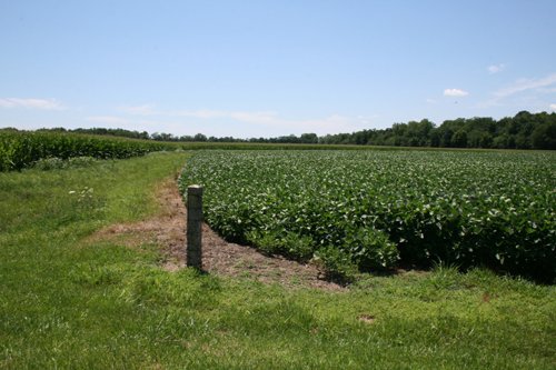 Property photo 4 - 724 +/- Acres Offered in 8 Tracts - Session A