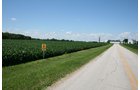 Property photo 37 - 724 +/- Acres Offered in 8 Tracts - Session A