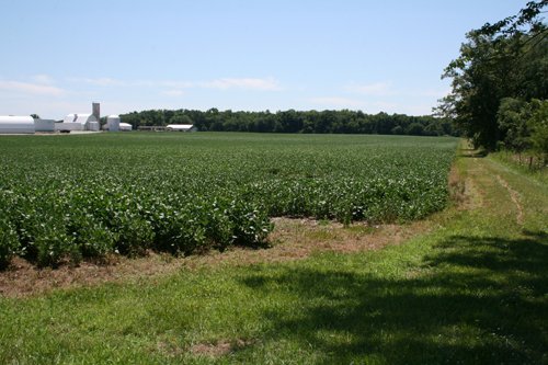 Property photo 5 - 724 +/- Acres Offered in 8 Tracts - Session A