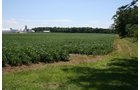 Property photo 5 - 724 +/- Acres Offered in 8 Tracts - Session A