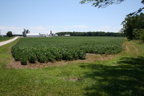 Property photo 23 - 724 +/- Acres Offered in 8 Tracts - Session A