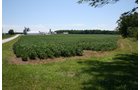 Property photo 23 - 724 +/- Acres Offered in 8 Tracts - Session A